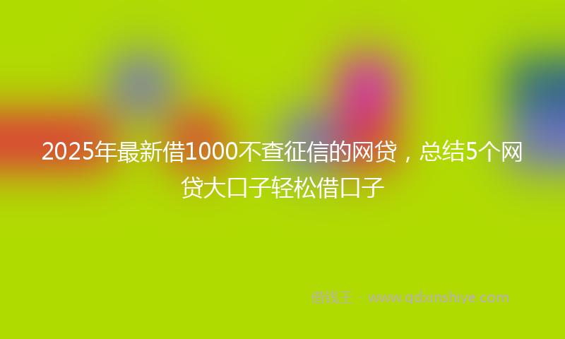 2025年最新借1000不查征信的网贷，总结5个网贷大口子轻松借口子