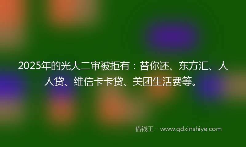 2025年的光大二审被拒有：替你还、东方汇、人人贷、维信卡卡贷、美团生活费等。
