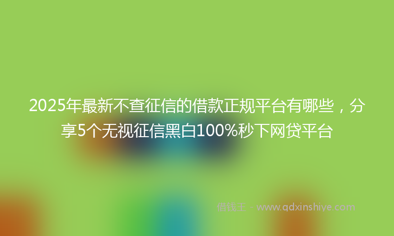 2025年最新不查征信的借款正规平台有哪些，分享5个无视征信黑白100%秒下网贷平台