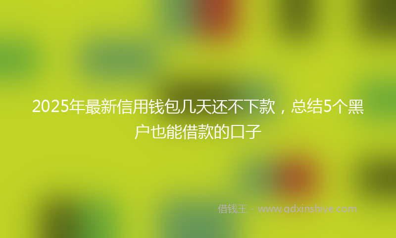 2025年最新信用钱包几天还不下款，总结5个黑户也能借款的口子
