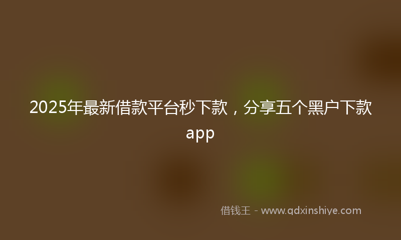 2025年最新借款平台秒下款，分享五个黑户下款app