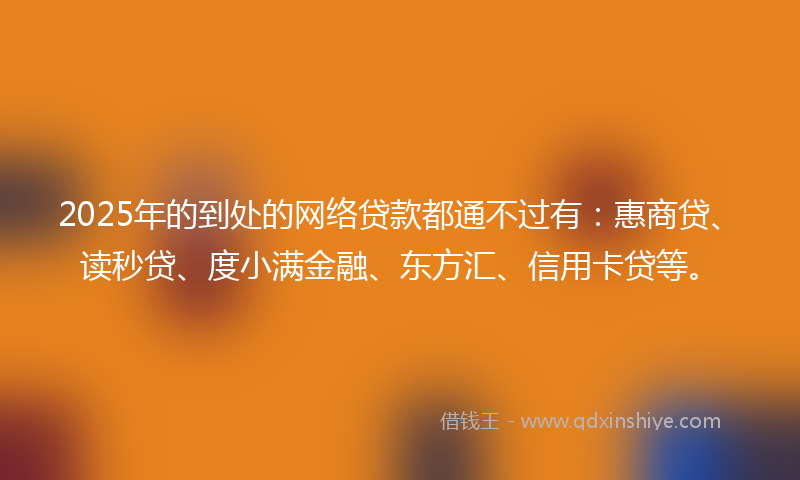 2025年的到处的网络贷款都通不过有：惠商贷、读秒贷、度小满金融、东方汇、信用卡贷等。