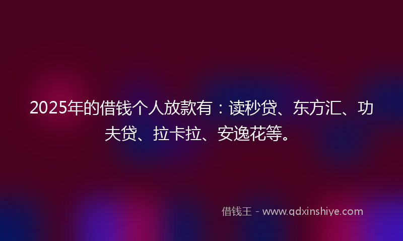 2025年的借钱个人放款有：读秒贷、东方汇、功夫贷、拉卡拉、安逸花等。