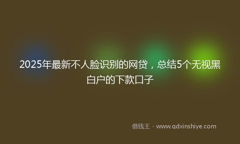 2025年最新不人脸识别的网贷，总结5个无视黑白户的下款口子