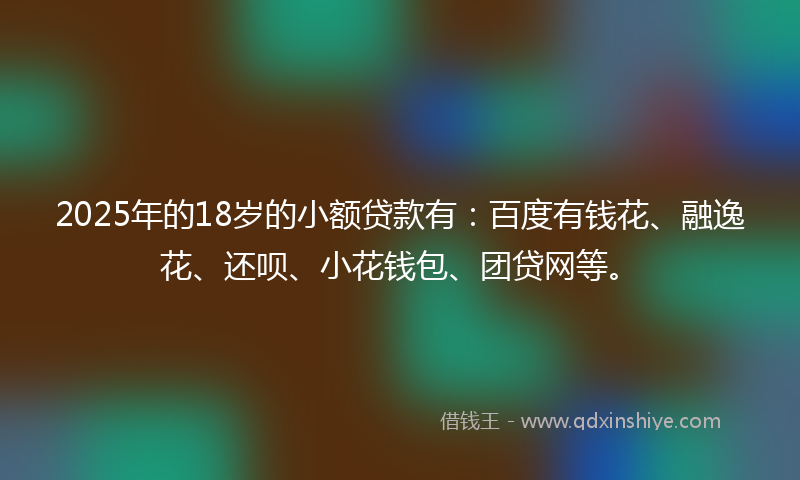 2025年的18岁的小额贷款有：百度有钱花、融逸花、还呗、小花钱包、团贷网等。