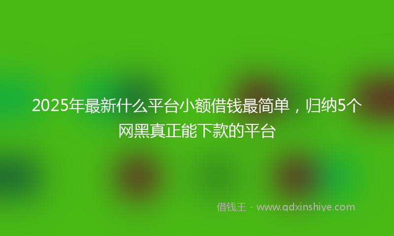 2025年最新什么平台小额借钱最简单，归纳5个网黑真正能下款的平台