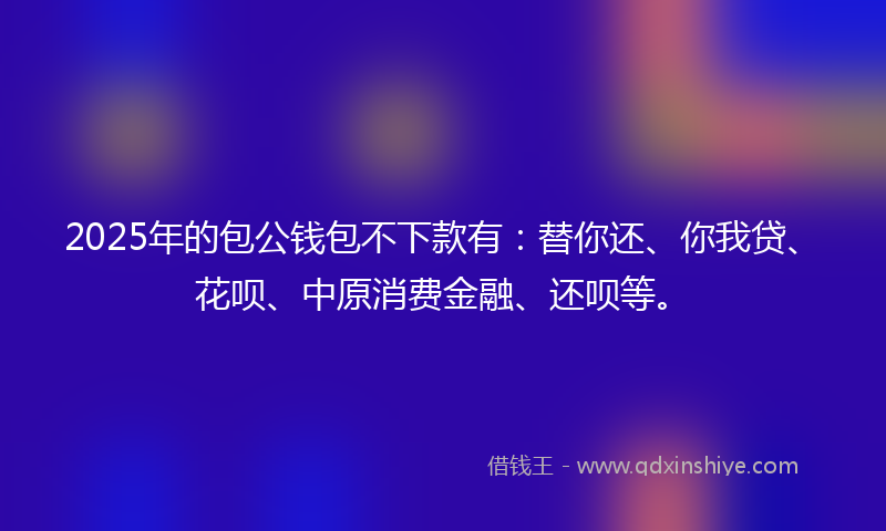 2025年的包公钱包不下款有：替你还、你我贷、花呗、中原消费金融、还呗等。