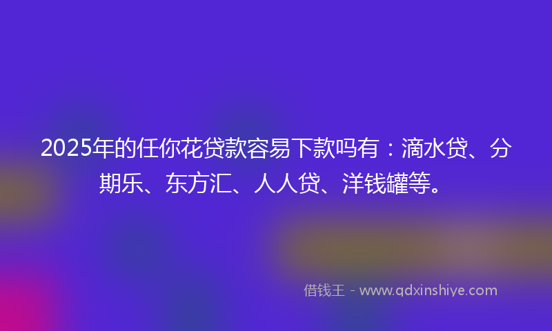 2025年的任你花贷款容易下款吗有：滴水贷、分期乐、东方汇、人人贷、洋钱罐等。