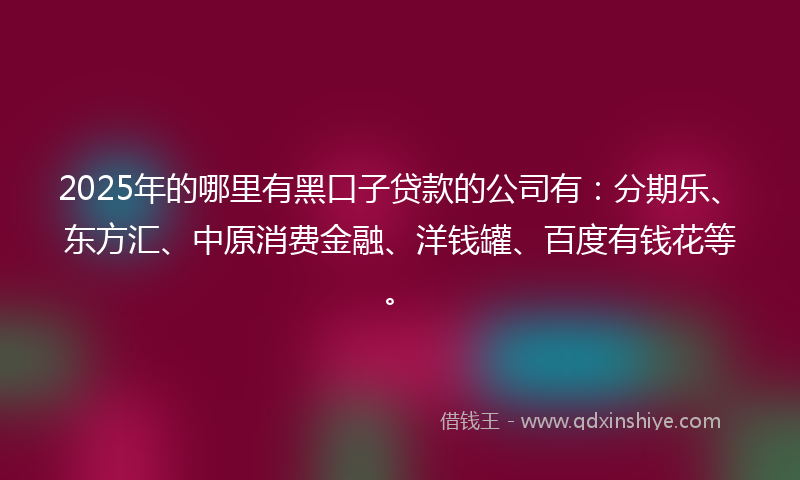 2025年的哪里有黑口子贷款的公司有：分期乐、东方汇、中原消费金融、洋钱罐、百度有钱花等。