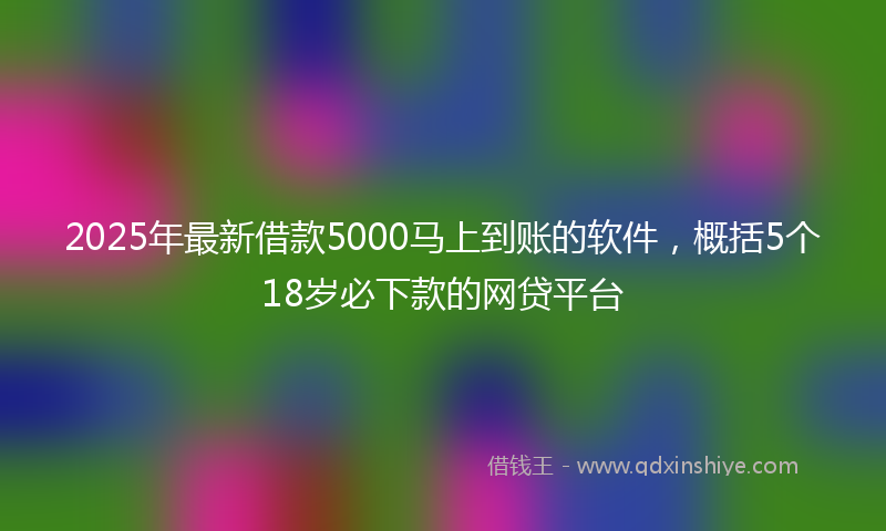 2025年最新借款5000马上到账的软件，概括5个18岁必下款的网贷平台