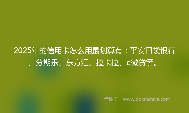 2025年的信用卡怎么用最划算有：平安口袋银行、分期乐、东方汇、拉卡拉、e微贷等。