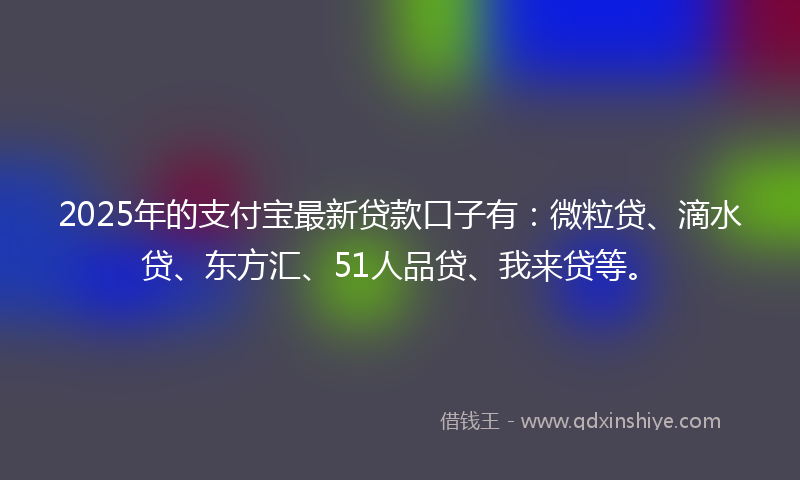 2025年的支付宝最新贷款口子有：微粒贷、滴水贷、东方汇、51人品贷、我来贷等。