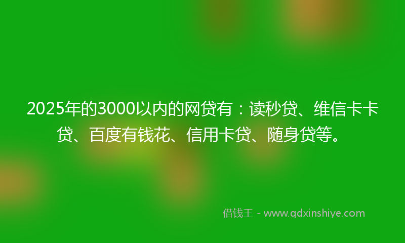 2025年的3000以内的网贷有：读秒贷、维信卡卡贷、百度有钱花、信用卡贷、随身贷等。