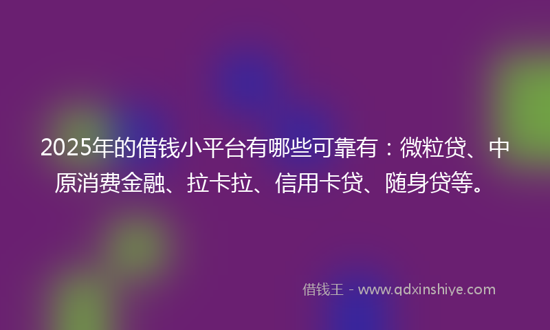 2025年的借钱小平台有哪些可靠有：微粒贷、中原消费金融、拉卡拉、信用卡贷、随身贷等。