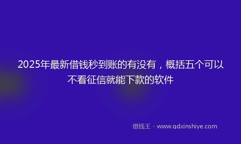 2025年最新借钱秒到账的有没有，概括五个可以不看征信就能下款的软件