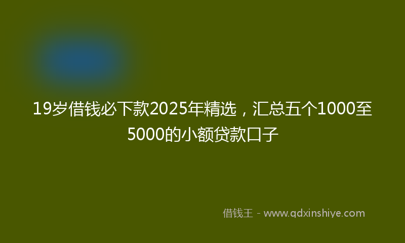 19岁借钱必下款2025年精选，汇总五个1000至5000的小额贷款口子