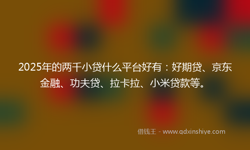 2025年的两千小贷什么平台好有：好期贷、京东金融、功夫贷、拉卡拉、小米贷款等。