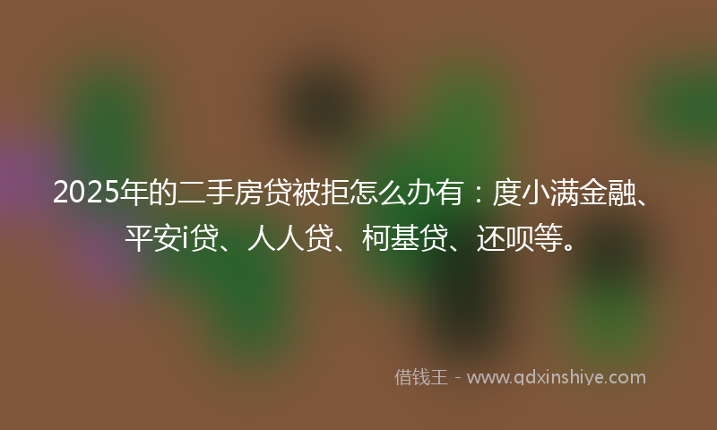 2025年的二手房贷被拒怎么办有：度小满金融、平安i贷、人人贷、柯基贷、还呗等。