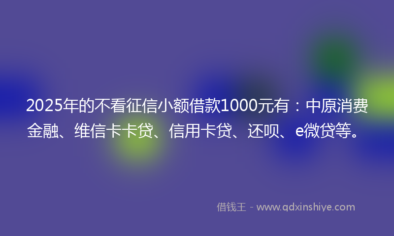 2025年的不看征信小额借款1000元有：中原消费金融、维信卡卡贷、信用卡贷、还呗、e微贷等。