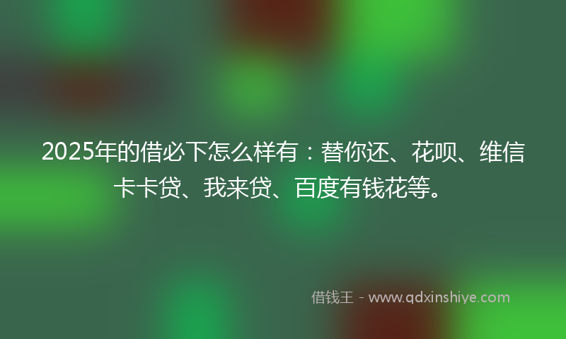 2025年的借必下怎么样有：替你还、花呗、维信卡卡贷、我来贷、百度有钱花等。