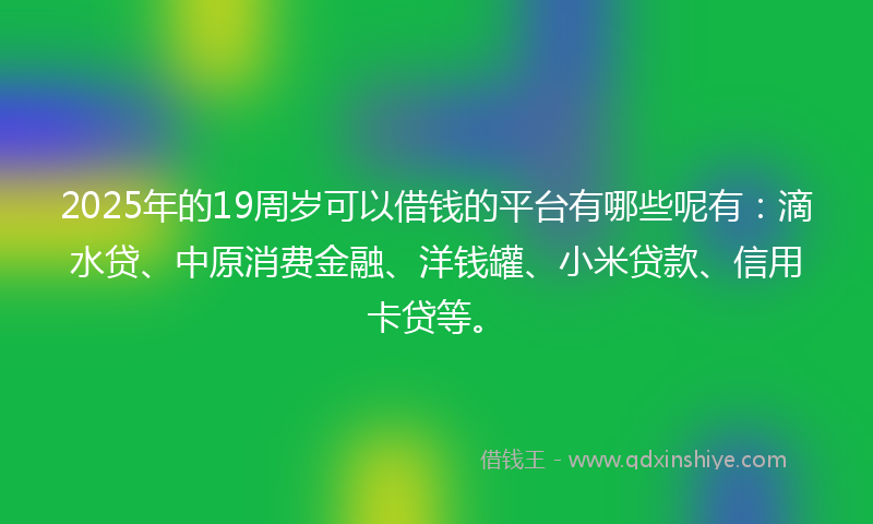 2025年的19周岁可以借钱的平台有哪些呢有：滴水贷、中原消费金融、洋钱罐、小米贷款、信用卡贷等。