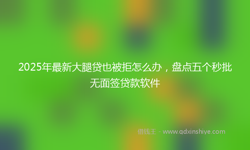 2025年最新大腿贷也被拒怎么办，盘点五个秒批无面签贷款软件