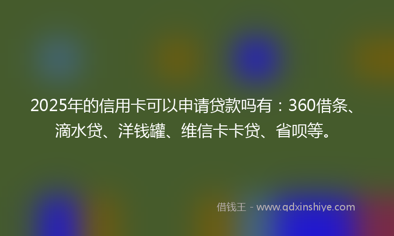 2025年的信用卡可以申请贷款吗有：360借条、滴水贷、洋钱罐、维信卡卡贷、省呗等。