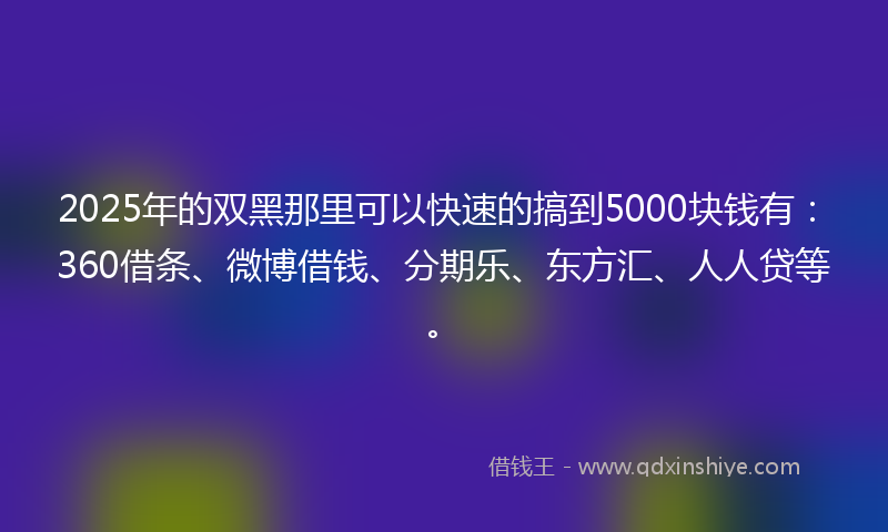 2025年的双黑那里可以快速的搞到5000块钱有：360借条、微博借钱、分期乐、东方汇、人人贷等。