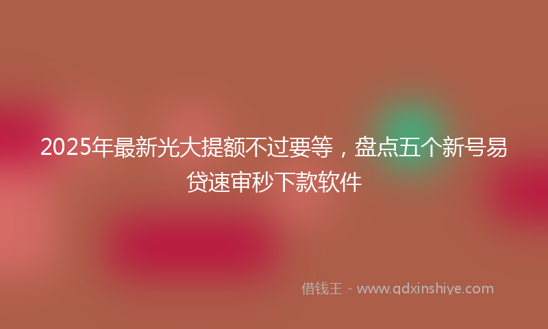2025年最新光大提额不过要等，盘点五个新号易贷速审秒下款软件