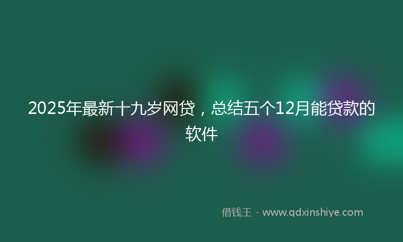 2025年最新十九岁网贷，总结五个12月能贷款的软件
