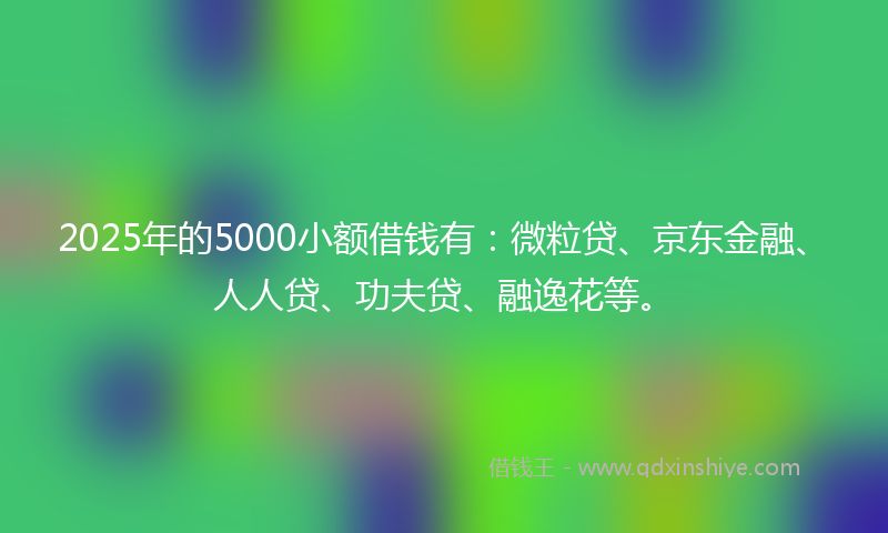 2025年的5000小额借钱有：微粒贷、京东金融、人人贷、功夫贷、融逸花等。