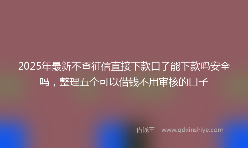 2025年最新不查征信直接下款口子能下款吗安全吗，整理五个可以借钱不用审核的口子
