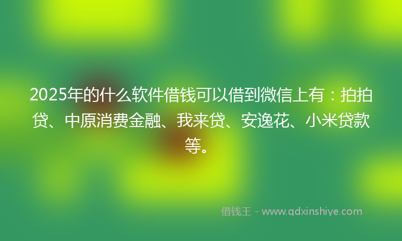 2025年的什么软件借钱可以借到微信上有：拍拍贷、中原消费金融、我来贷、安逸花、小米贷款等。