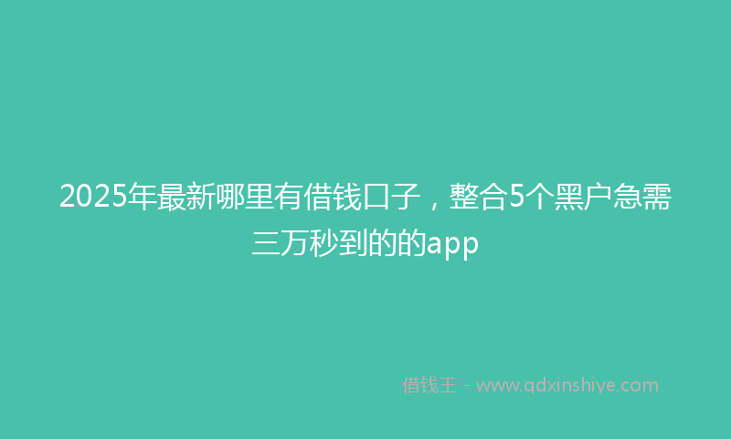 2025年最新哪里有借钱口子，整合5个黑户急需三万秒到的的app