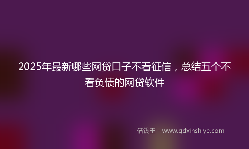 2025年最新哪些网贷口子不看征信，总结五个不看负债的网贷软件