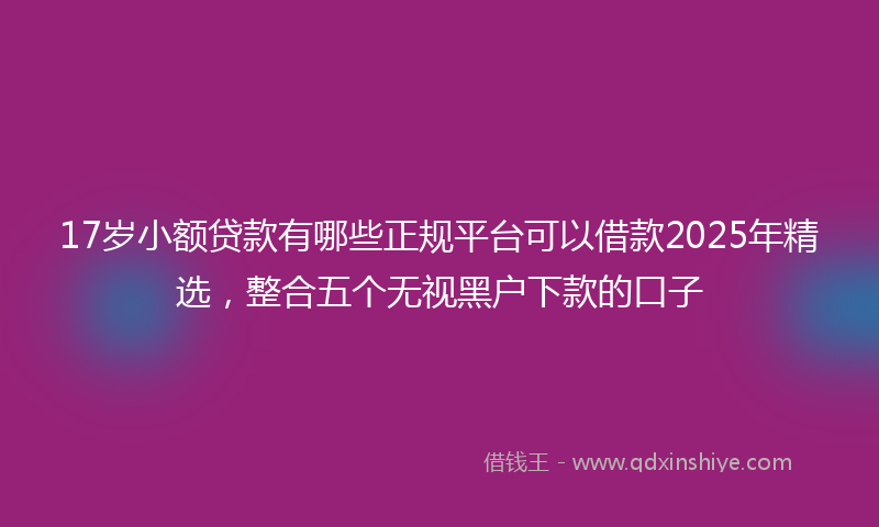 17岁小额贷款有哪些正规平台可以借款2025年精选，整合五个无视黑户下款的口子