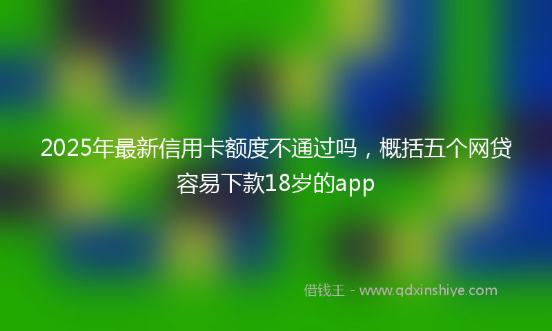 2025年最新信用卡额度不通过吗，概括五个网贷容易下款18岁的app