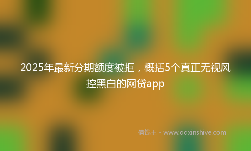 2025年最新分期额度被拒，概括5个真正无视风控黑白的网贷app