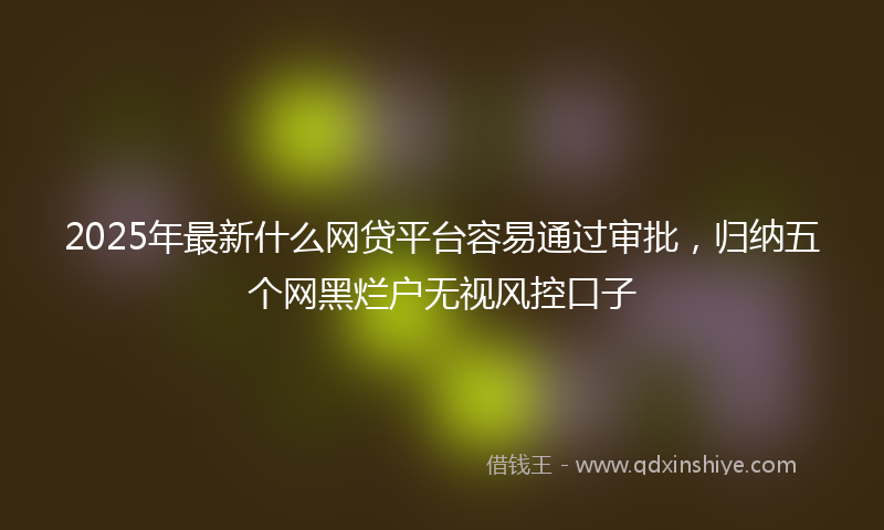 2025年最新什么网贷平台容易通过审批，归纳五个网黑烂户无视风控口子
