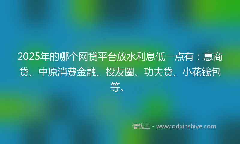 2025年的哪个网贷平台放水利息低一点有：惠商贷、中原消费金融、投友圈、功夫贷、小花钱包等。