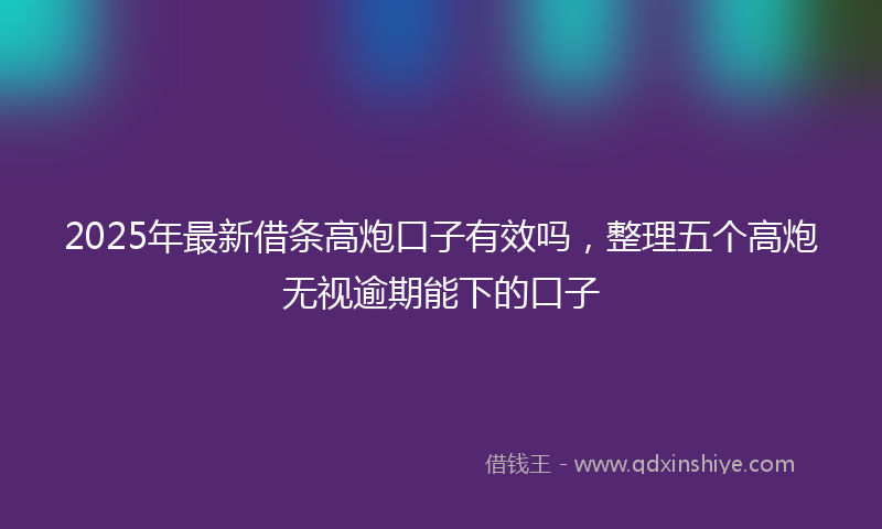 2025年最新借条高炮口子有效吗，整理五个高炮无视逾期能下的口子