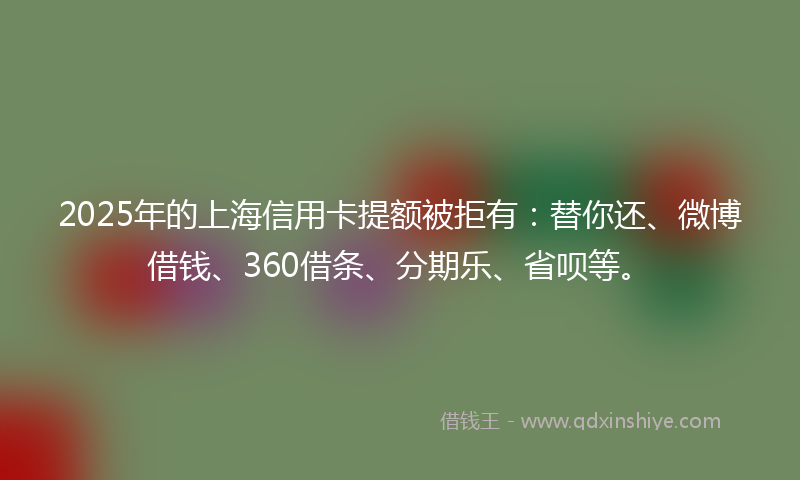 2025年的上海信用卡提额被拒有：替你还、微博借钱、360借条、分期乐、省呗等。