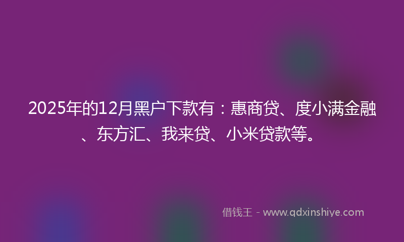 2025年的12月黑户下款有：惠商贷、度小满金融、东方汇、我来贷、小米贷款等。