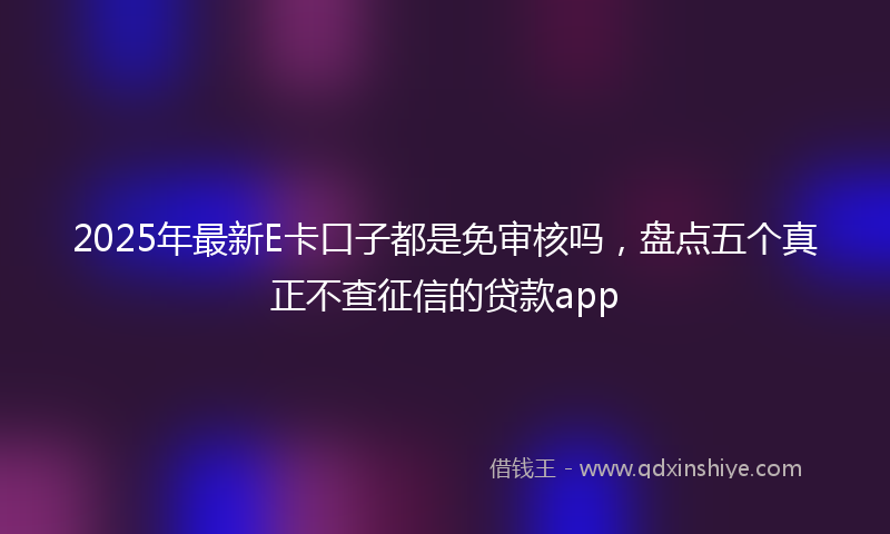 2025年最新E卡口子都是免审核吗，盘点五个真正不查征信的贷款app