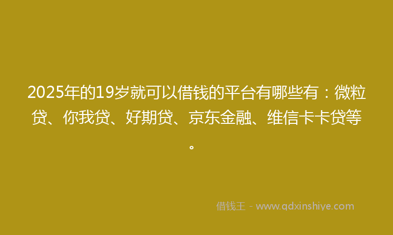 2025年的19岁就可以借钱的平台有哪些有：微粒贷、你我贷、好期贷、京东金融、维信卡卡贷等。