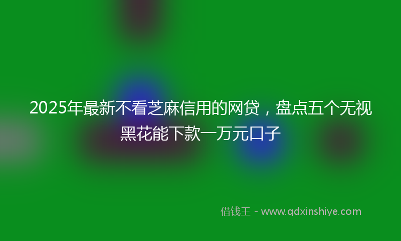 2025年最新不看芝麻信用的网贷，盘点五个无视黑花能下款一万元口子