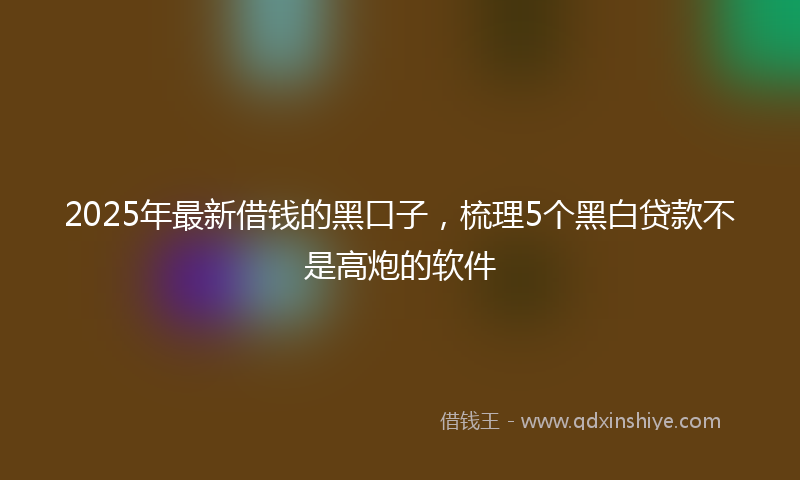 2025年最新借钱的黑口子，梳理5个黑白贷款不是高炮的软件
