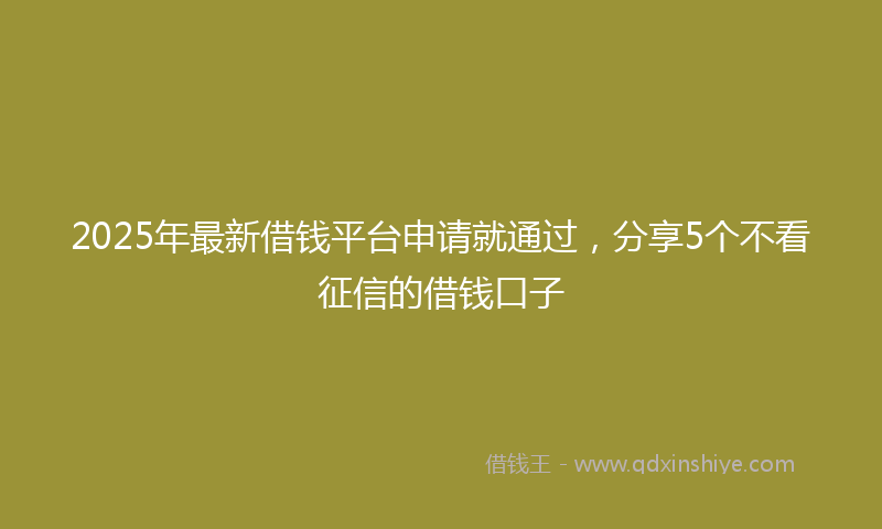 2025年最新借钱平台申请就通过，分享5个不看征信的借钱口子
