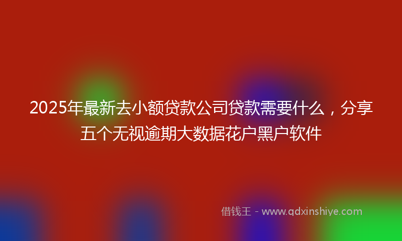 2025年最新去小额贷款公司贷款需要什么，分享五个无视逾期大数据花户黑户软件