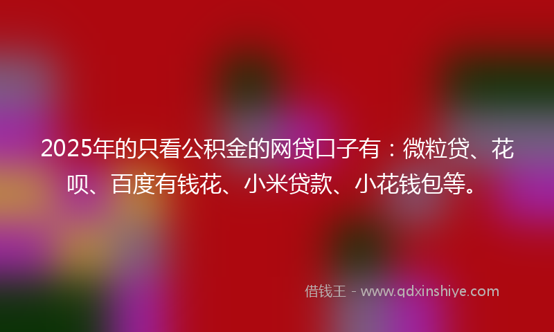 2025年的只看公积金的网贷口子有：微粒贷、花呗、百度有钱花、小米贷款、小花钱包等。